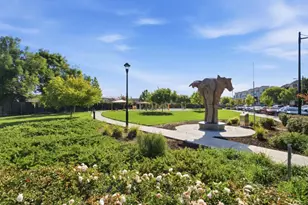 329 Expedition Ln, Milpitas, CA 95035 - Photo 38