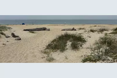 10925 Pieri Ct, Moss Landing, CA 95039 - Photo 22