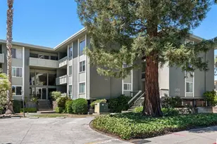 1458 Hudson St 207, Redwood City, CA 94061 - Photo 26