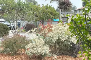 215 Lamanda Dr, Aptos, CA 95003 - Photo 8