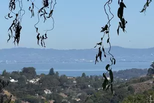 1204 Laurel Hill Dr, San Mateo, CA 94402 - Photo 2
