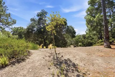 3357 Brittan Ave 6, San Carlos, CA 94070 - Photo 30