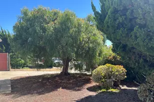 106 Mesa Ln, Santa Cruz, CA 95060 - Photo 26