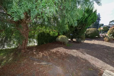106 Mesa Ln, Santa Cruz, CA 95060 - Photo 6