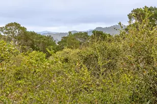 25655 Ryan Pl, Carmel, CA 93923 - Photo 30