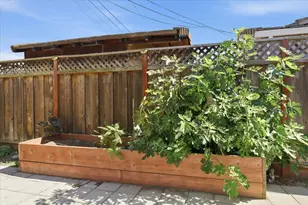 37612 Canterbury St, Fremont, CA 94536 - Photo 58