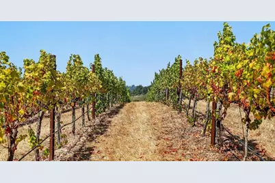 211 Smith Rd, Watsonville, CA 95076 - Photo 72