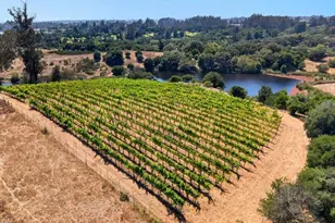 211 Smith Rd, Watsonville, CA 95076 - Photo 20