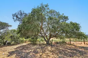 211 Smith Rd, Watsonville, CA 95076 - Photo 64