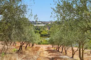 211 Smith Rd, Watsonville, CA 95076 - Photo 70