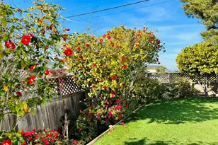 2603 All View Way, Belmont, CA 94002 - Photo 100
