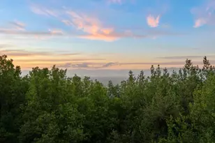 15499 Bohlman Rd, Saratoga, CA 95070 - Photo 48