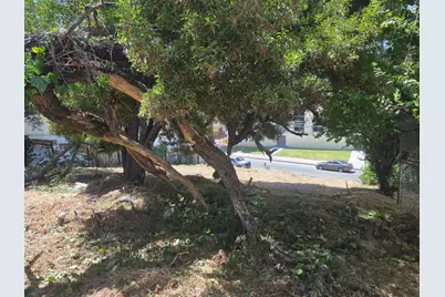 2120 35th Ave, Oakland, CA 94601 - Photo 2