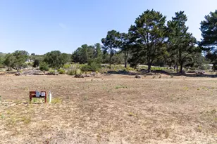 299 Hidden Valley Rd, Royal Oaks, CA 95076 - Photo 4