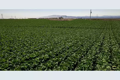 San Jon Rd, Salinas, CA 93907 - Photo 12