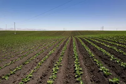 San Jon Rd, Salinas, CA 93907 - Photo 4