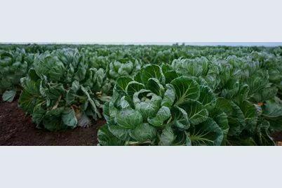 San Jon Rd, Salinas, CA 93907 - Photo 10