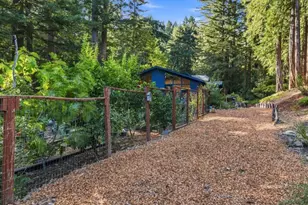 230 Orman Rd, Boulder Creek, CA 95006 - Photo 78