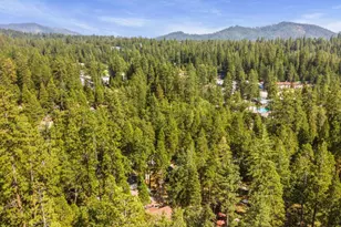 23100 Tuolumne Dr, Twain Harte, CA 95383 - Photo 30