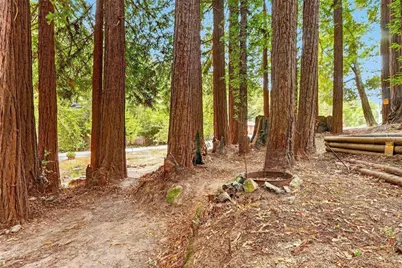 917 Scenic Dr, Felton, CA 95018 - Photo 32