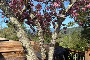 552 Bean Creek Rd 30, Scotts Valley, CA 95066 - Photo 62