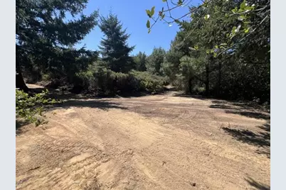 36000 Mt Madonna Rd, Morgan Hill, CA 95037 - Photo 4