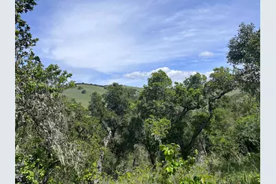 33446 E Carmel Valley Rd, Carmel Valley, CA 93924 - Photo 4