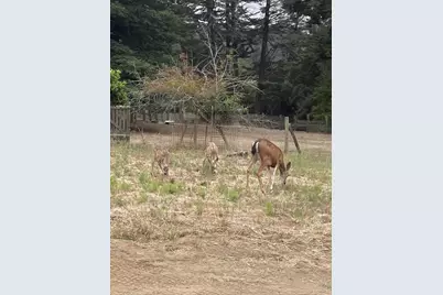 2063 Cox Rd, Aptos, CA 95003 - Photo 6