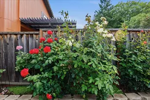 6519 Skyfarm Dr, San Jose, CA 95120 - Photo 46