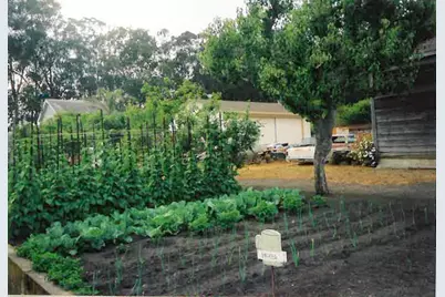 978 Palma St, El Granada, CA 94018 - Photo 40