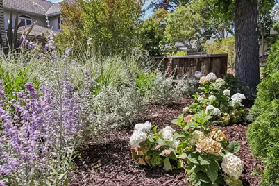 2280 Saint Francis Dr, Palo Alto, CA 94303 - Photo 4