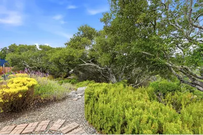 1286 Parrott Dr, San Mateo, CA 94402 - Photo 40