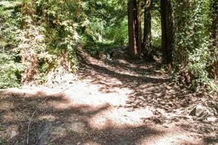 15475 Big Basin Wy, Boulder Creek, CA 95006 - Photo 44