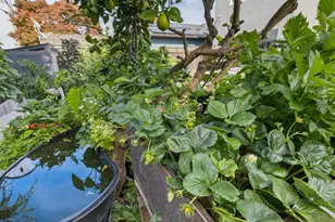 1700 Parkview Dr, San Bruno, CA 94066 - Photo 40