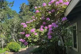 25349 Flanders Dr, Carmel, CA 93923 - Photo 44