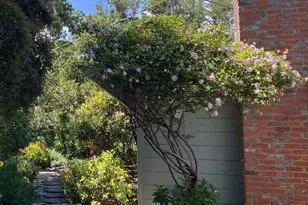 25349 Flanders Dr, Carmel, CA 93923 - Photo 46