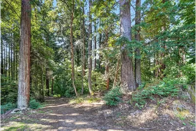 303 Sanborn Ln, Felton, CA 95018 - Photo 48