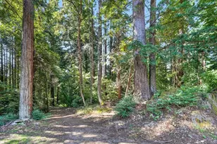 303 Sanborn Ln, Felton, CA 95018 - Photo 48