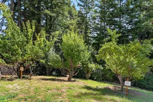 303 Sanborn Ln, Felton, CA 95018 - Photo 40