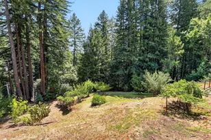 303 Sanborn Ln, Felton, CA 95018 - Photo 46