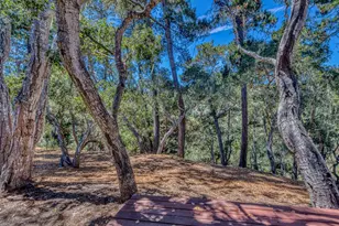 129 Littlefield Rd, Monterey, CA 93940 - Photo 22