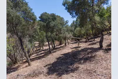 13 Rancho El Robledo, Carmel Valley, CA 93924 - Photo 6