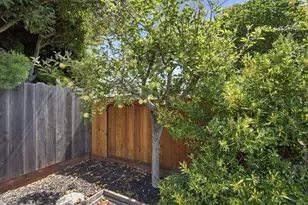 Maxine Ave, San Mateo, CA 94401 - Photo 20
