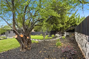 957 Neilson St, Albany, CA 94706 - Photo 38