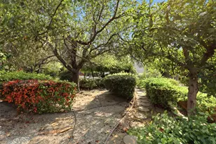 1995 Serene Dr, Hollister, CA 95023 - Photo 54