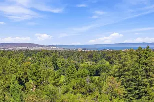 150 New Place Rd, Hillsborough, CA 94010 - Photo 48