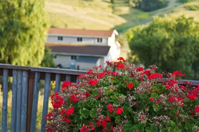 375 Hitch, Hollister, CA 95023 - Photo 64