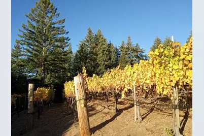 1580 Tindall Ranch Rd, Watsonville, CA 95076 - Photo 52