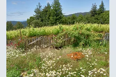 1580 Tindall Ranch Rd, Watsonville, CA 95076 - Photo 34