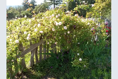 1580 Tindall Ranch Rd, Watsonville, CA 95076 - Photo 42